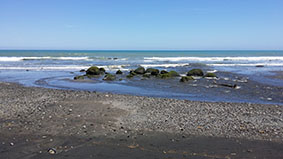Photograph of Ohawe beach near Hawera